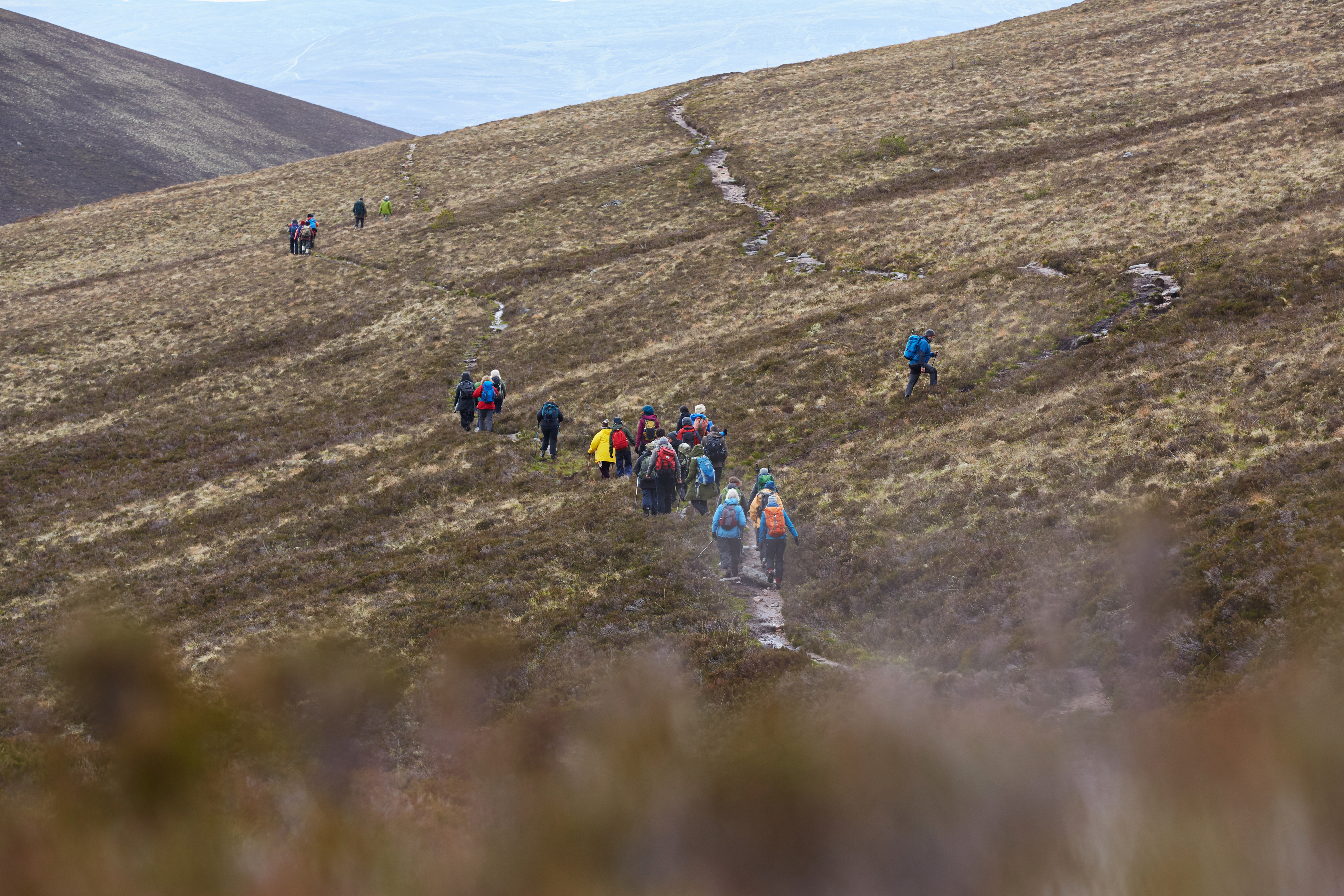 Group walking in the Cairngorms