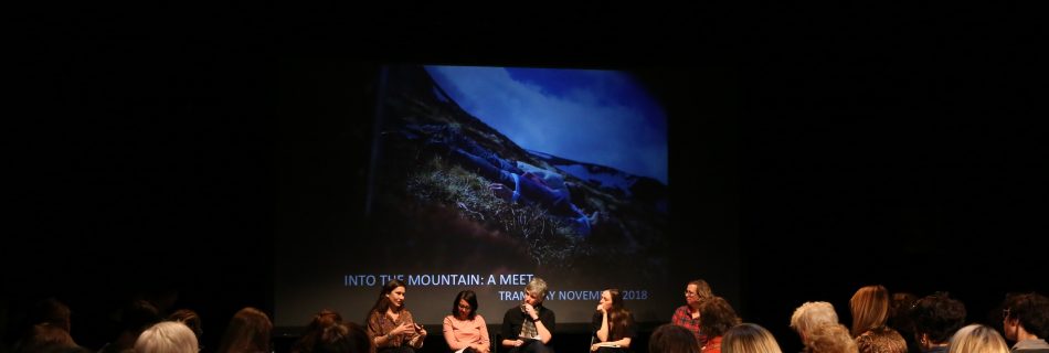 Panel from Into The Mountain A Meet
